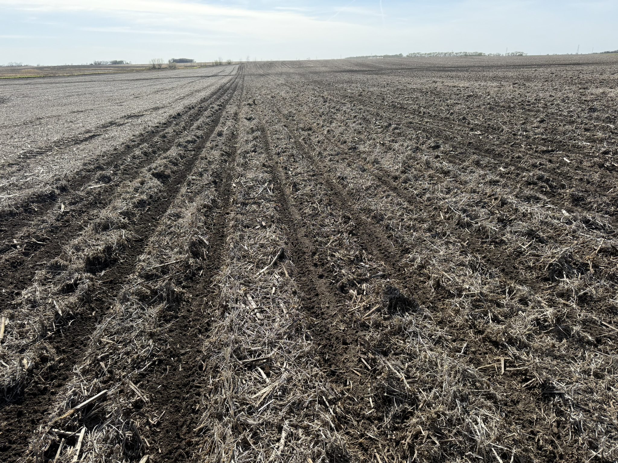 Plowed farmland with dry soil under sky.